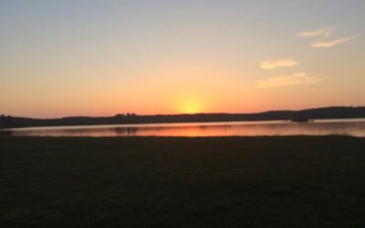 Tranquillity, Poems and Exposure?