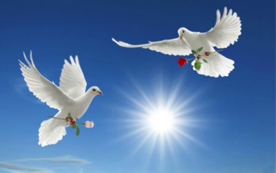 Peace, love and wishes…