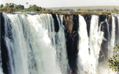 Festive trickle to roaring new year!